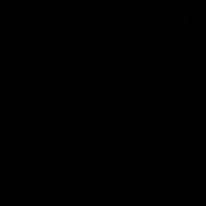 Meet your Posher, Annaleigh